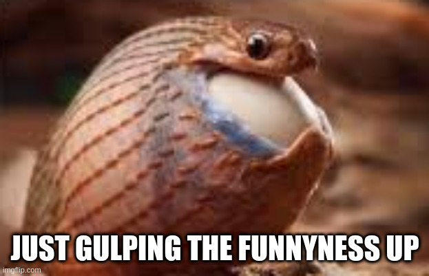 JUST GULPING THE FUNNYNESS UP | made w/ Imgflip meme maker
