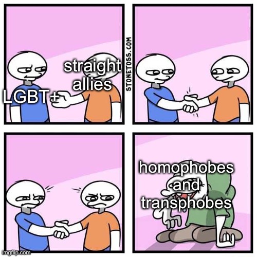 Thanks for everyone who supports us! <3 One day, we'll be 100% free from discrimination. | straight allies; LGBT+; homophobes and transphobes | image tagged in gay rights | made w/ Imgflip meme maker