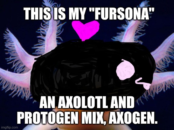 plz don't roast me this is my first fursona design | THIS IS MY "FURSONA"; AN AXOLOTL AND PROTOGEN MIX, AXOGEN. | image tagged in fursona,fursuit | made w/ Imgflip meme maker