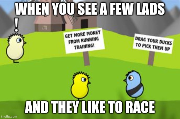 Ducks | WHEN YOU SEE A FEW LADS; AND THEY LIKE TO RACE | image tagged in duck | made w/ Imgflip meme maker