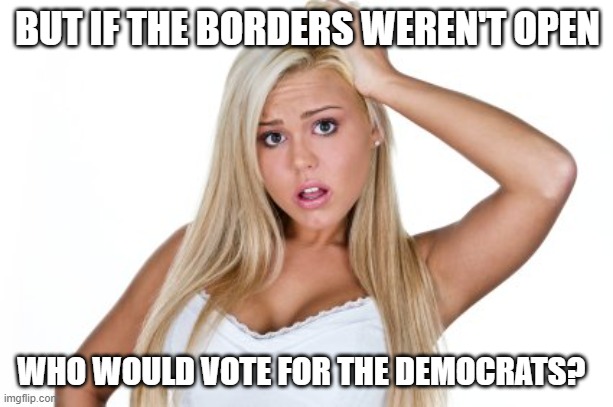 Dumb Blonde | BUT IF THE BORDERS WEREN'T OPEN WHO WOULD VOTE FOR THE DEMOCRATS? | image tagged in dumb blonde | made w/ Imgflip meme maker