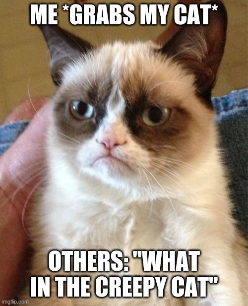 When i pick up my cat | ME *GRABS MY CAT*; OTHERS: "WHAT IN THE CREEPY CAT" | image tagged in memes,grumpy cat | made w/ Imgflip meme maker