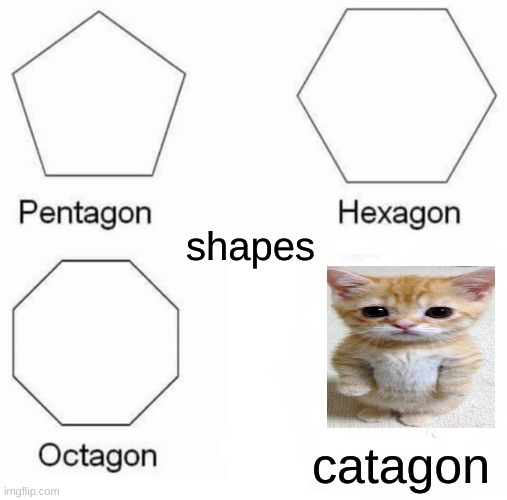 Pentagon Hexagon Octagon Meme | shapes; catagon | image tagged in kitty | made w/ Imgflip meme maker