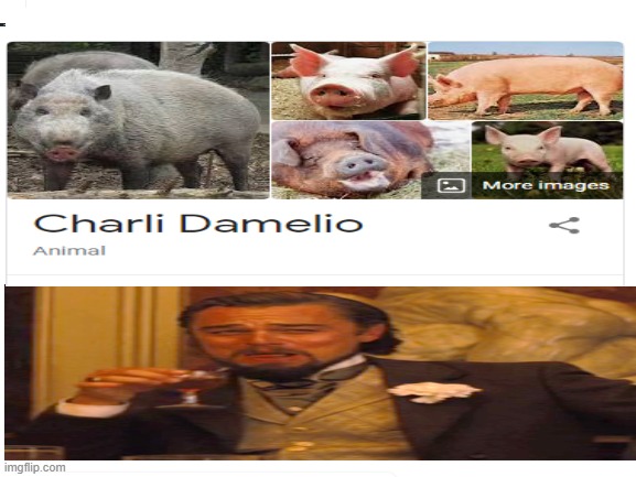 Charli Damelio = Pig | image tagged in oink,funny did laugh,memes,orginal,funny edits,bad charli damelio | made w/ Imgflip meme maker