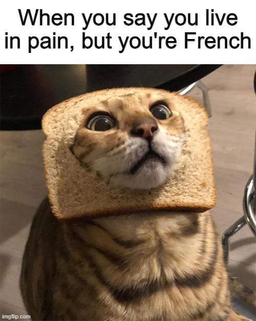 C'est assez drôle | When you say you live in pain, but you're French | image tagged in memes,funny,france,bread,cats | made w/ Imgflip meme maker
