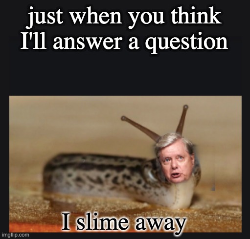 Slimesy Graham | just when you think I'll answer a question I slime away | image tagged in slimesy graham | made w/ Imgflip meme maker