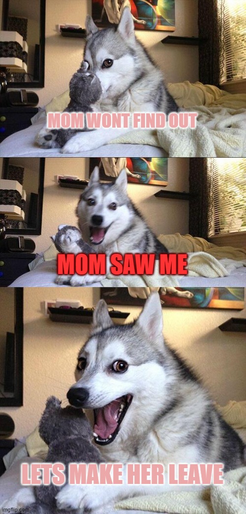 Bad Pun Dog Meme | MOM WONT FIND OUT; MOM SAW ME; LETS MAKE HER LEAVE | image tagged in memes,bad pun dog | made w/ Imgflip meme maker