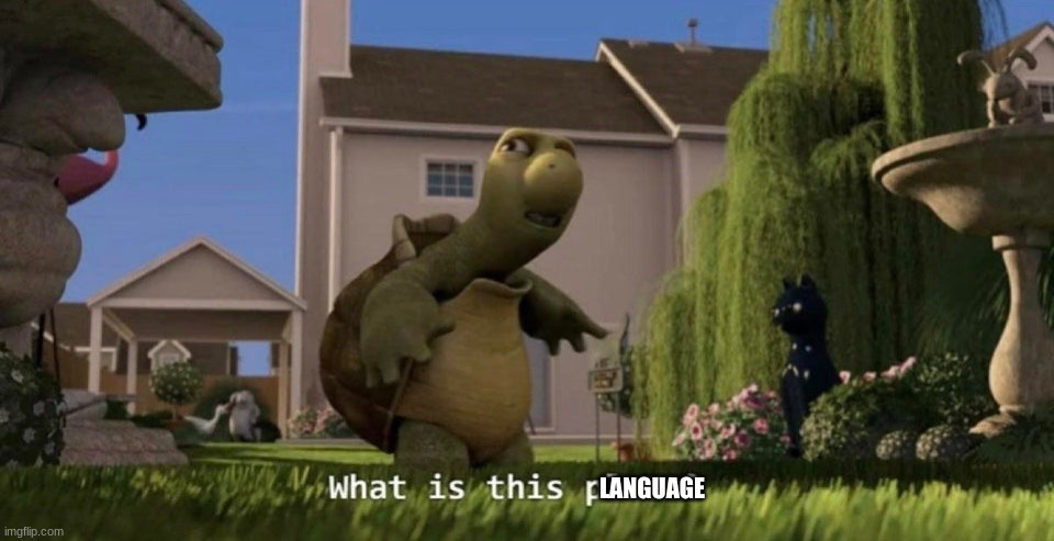 What is this place | LANGUAGE | image tagged in what is this place | made w/ Imgflip meme maker