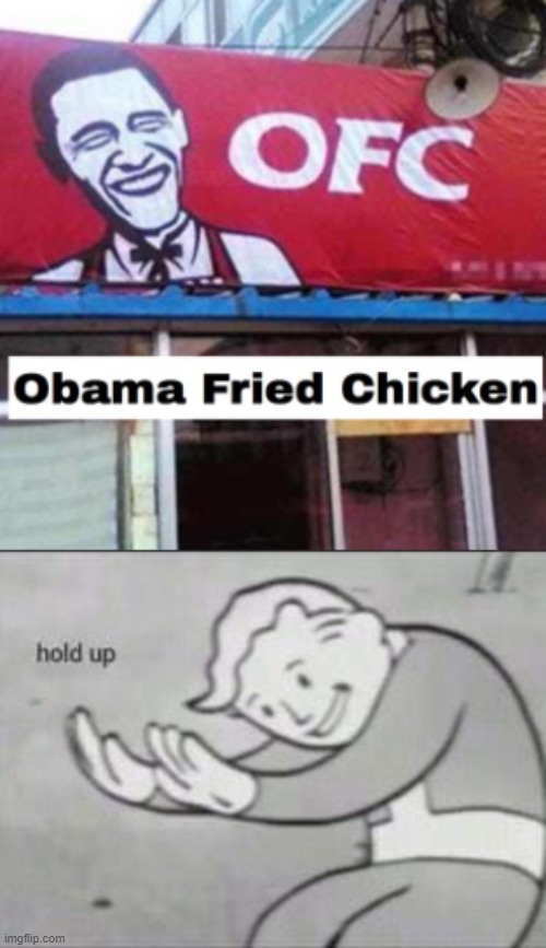 I Wonder What the Chicken is made of | image tagged in fallout hold up | made w/ Imgflip meme maker