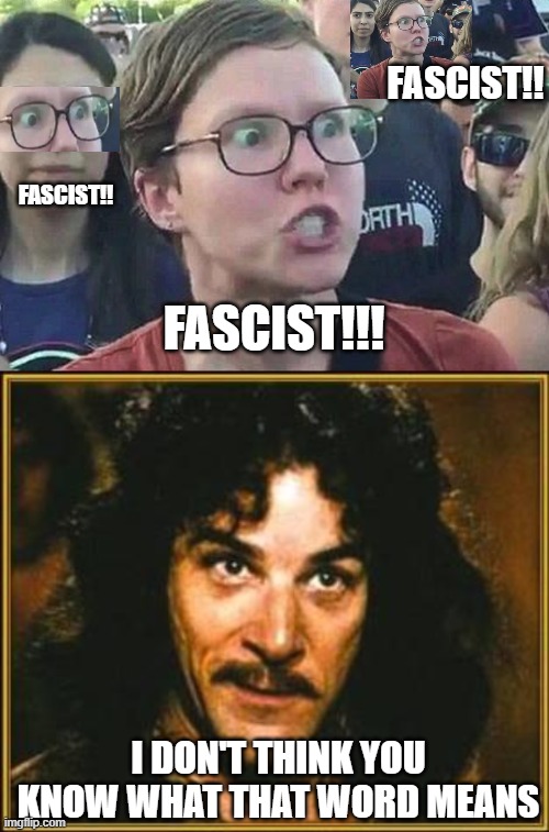 FASCIST!! FASCIST!!! FASCIST!! I DON'T THINK YOU KNOW WHAT THAT WORD MEANS | image tagged in triggered liberal,princess bride | made w/ Imgflip meme maker
