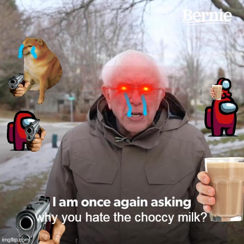 Bernie I Am Once Again Asking For Your Support Meme | why you hate the choccy milk? | image tagged in memes,bernie i am once again asking for your support | made w/ Imgflip meme maker