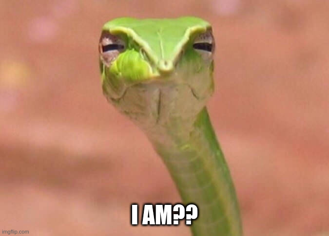 Skeptical snake | I AM?? | image tagged in skeptical snake | made w/ Imgflip meme maker