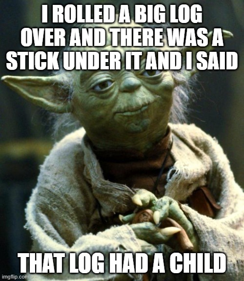 Star Wars Yoda Meme |  I ROLLED A BIG LOG OVER AND THERE WAS A STICK UNDER IT AND I SAID; THAT LOG HAD A CHILD | image tagged in memes,star wars yoda | made w/ Imgflip meme maker