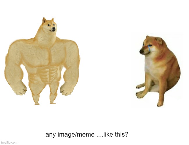 Buff Doge vs. Cheems Meme | any image/meme ....like this? | image tagged in memes,buff doge vs cheems | made w/ Imgflip meme maker