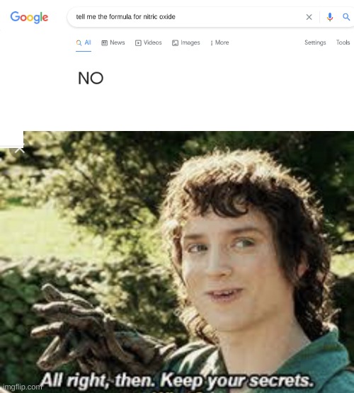 why not? | image tagged in all right then keep your secrets,science,chemistry,lord of the rings,frodo,google | made w/ Imgflip meme maker