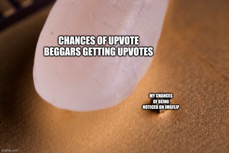 If anyone says im begging istg i'm not tolerating it | CHANCES OF UPVOTE BEGGARS GETTING UPVOTES; MY CHANCES OF BEING NOTICED ON IMGFLIP | image tagged in grain of rice | made w/ Imgflip meme maker