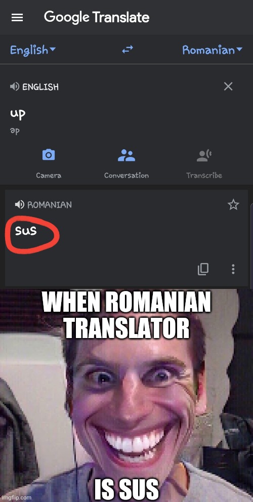 WHEN ROMANIAN TRANSLATOR; IS SUS | image tagged in when the imposter is sus | made w/ Imgflip meme maker