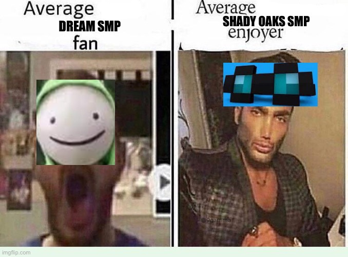 Average *BLANK* Fan VS Average *BLANK* Enjoyer | SHADY OAKS SMP; DREAM SMP | image tagged in average blank fan vs average blank enjoyer | made w/ Imgflip meme maker