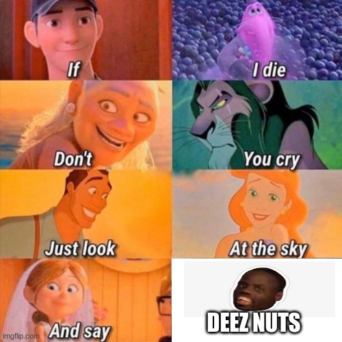 if i die don't you cry | DEEZ NUTS | image tagged in if i die don't you cry | made w/ Imgflip meme maker