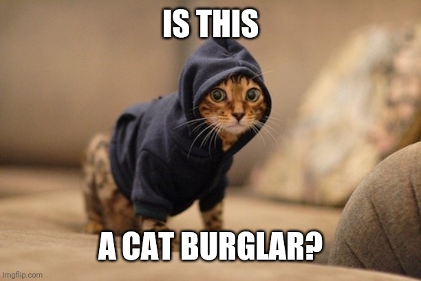 Hoody Cat | IS THIS; A CAT BURGLAR? | image tagged in memes,hoody cat | made w/ Imgflip meme maker