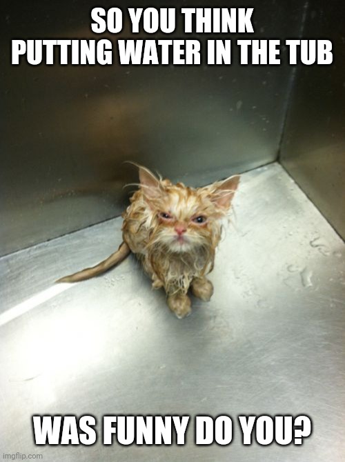 Kill You Cat |  SO YOU THINK PUTTING WATER IN THE TUB; WAS FUNNY DO YOU? | image tagged in memes,kill you cat | made w/ Imgflip meme maker