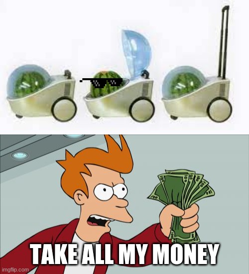 TAKE ALL MY$ | TAKE ALL MY MONEY | image tagged in memes,shut up and take my money fry | made w/ Imgflip meme maker