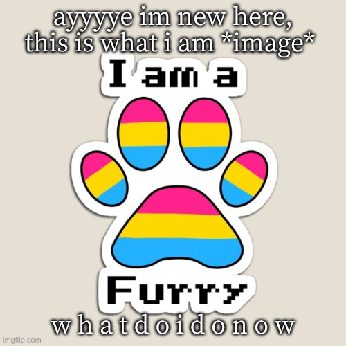 lol |  ayyyye im new here, this is what i am *image*; w h a t d o i d o n o w | image tagged in pansexual furry paw | made w/ Imgflip meme maker