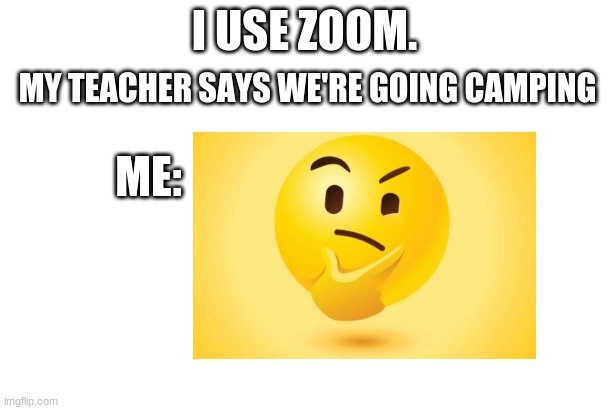 I NO DO NOT UNDERSTAND | MY TEACHER SAYS WE'RE GOING CAMPING; I USE ZOOM. ME: | image tagged in i,no,do,not,understand | made w/ Imgflip meme maker