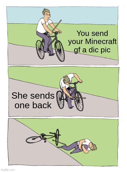 Bike Fall | You send your Minecraft gf a dic pic; She sends one back | image tagged in memes,bike fall | made w/ Imgflip meme maker