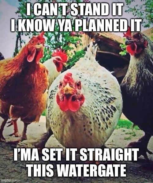 Beastie Chickens |  I CAN’T STAND IT 
I KNOW YA PLANNED IT; I’MA SET IT STRAIGHT
THIS WATERGATE | image tagged in chickens,sabotage,beastie boys,animals | made w/ Imgflip meme maker