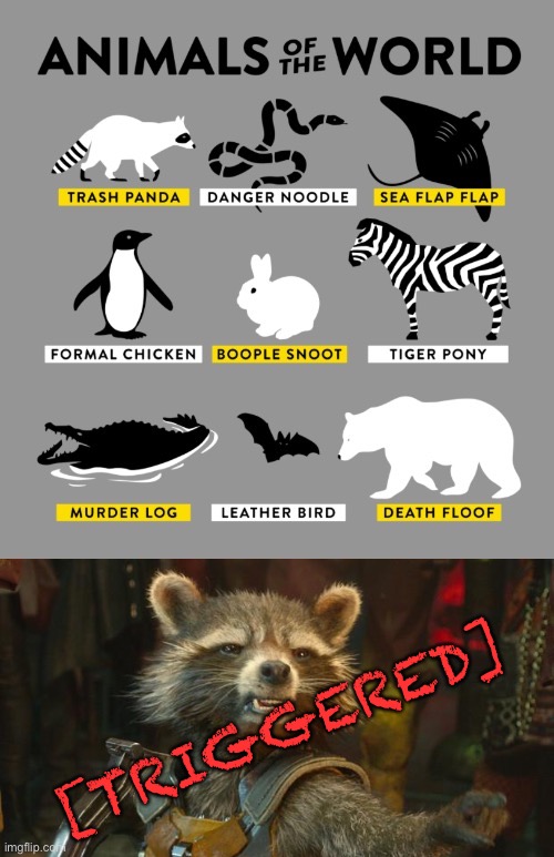 Great T-Shirt | [TRIGGERED] | image tagged in rocket raccoon,penguins,zebra,polar bear,funny memes | made w/ Imgflip meme maker