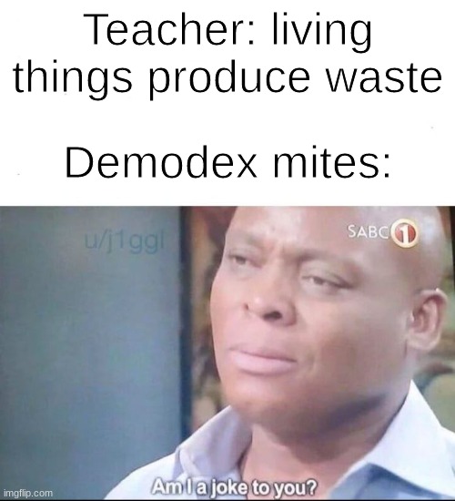 Bruh moment | Teacher: living things produce waste; Demodex mites: | image tagged in am i a joke to you,memes,school memes | made w/ Imgflip meme maker
