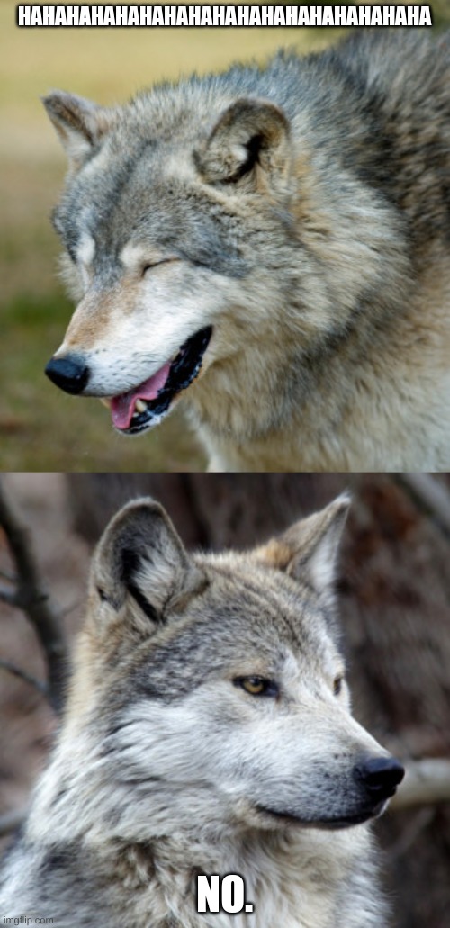 haha-no-wolf | HAHAHAHAHAHAHAHAHAHAHAHAHAHAHAHAHA NO. | image tagged in haha-no-wolf | made w/ Imgflip meme maker