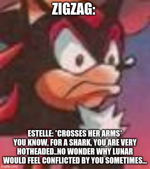 SONIC OC Roleplay Meme | ZIGZAG:; ESTELLE: *CROSSES HER ARMS* YOU KNOW, FOR A SHARK, YOU ARE VERY HOTHEADED..NO WONDER WHY LUNAR WOULD FEEL CONFLICTED BY YOU SOMETIMES... | image tagged in shadow the hedgehog | made w/ Imgflip meme maker