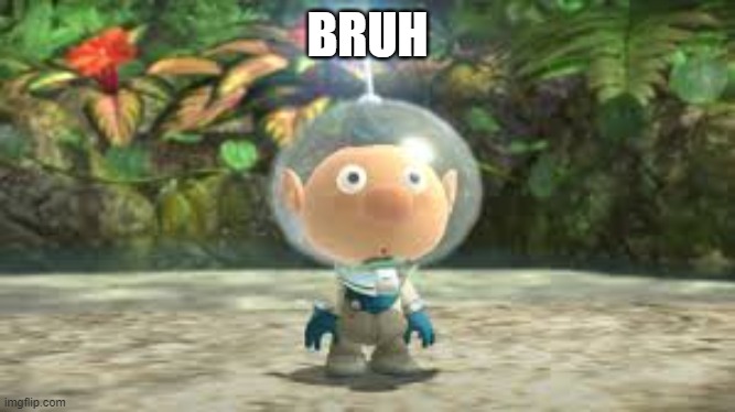 Bruh. | BRUH | image tagged in alph,pikmin | made w/ Imgflip meme maker