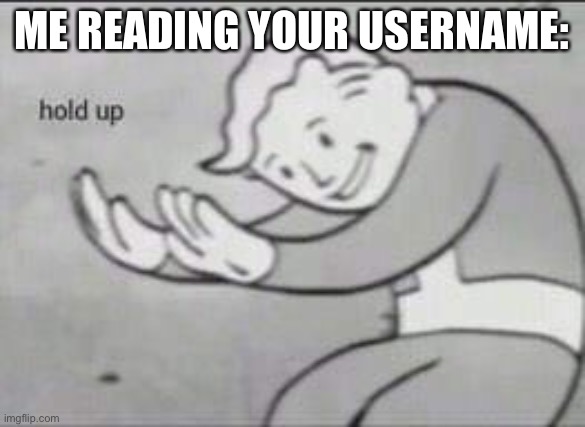 Fallout Hold Up | ME READING YOUR USERNAME: | image tagged in fallout hold up | made w/ Imgflip meme maker