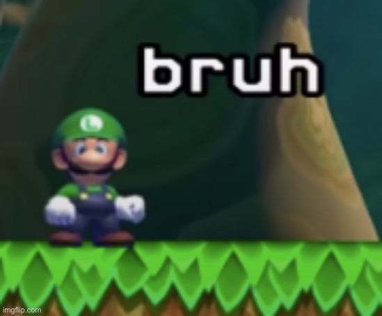 Luigi bruh | image tagged in luigi bruh | made w/ Imgflip meme maker