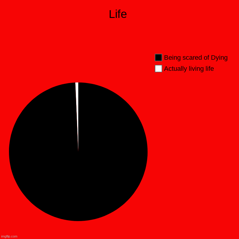 Life | Actually living life, Being scared of Dying | image tagged in charts,pie charts | made w/ Imgflip chart maker