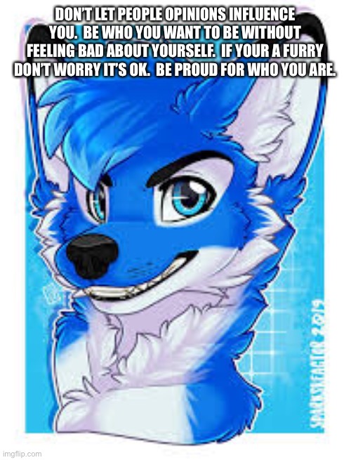 Art not mine | DON’T LET PEOPLE OPINIONS INFLUENCE YOU.  BE WHO YOU WANT TO BE WITHOUT FEELING BAD ABOUT YOURSELF.  IF YOUR A FURRY DON’T WORRY IT’S OK.  BE PROUD FOR WHO YOU ARE. | image tagged in furry | made w/ Imgflip meme maker