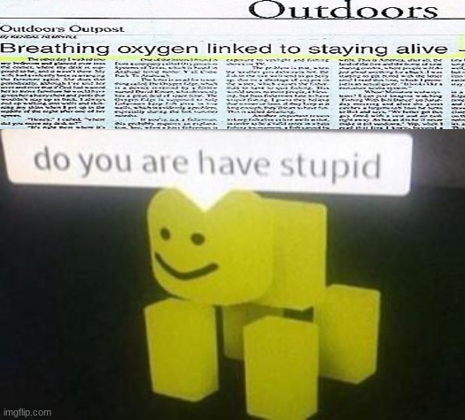 do you have stupid | image tagged in do you have stupid | made w/ Imgflip meme maker