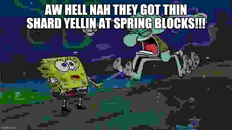 Aw hell nah squint yard!!! | AW HELL NAH THEY GOT THIN SHARD YELLIN AT SPRING BLOCKS!!! | image tagged in spunch bop,spongebob,shitpost | made w/ Imgflip meme maker