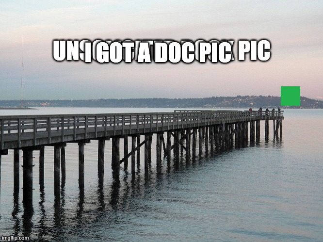 I GOT A DOC PIC | made w/ Imgflip meme maker