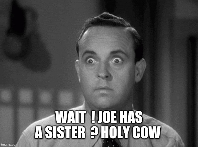 shocked face | WAIT  ! JOE HAS A SISTER  ? HOLY COW | image tagged in shocked face | made w/ Imgflip meme maker