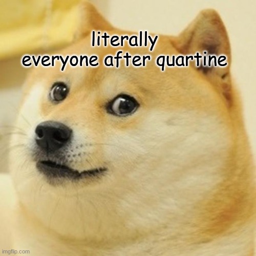 Doge | literally everyone after quartine | image tagged in memes,doge | made w/ Imgflip meme maker