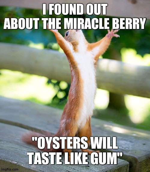 I am picky, so this will be good | I FOUND OUT ABOUT THE MIRACLE BERRY; "OYSTERS WILL TASTE LIKE GUM" | image tagged in grateful,learn more | made w/ Imgflip meme maker