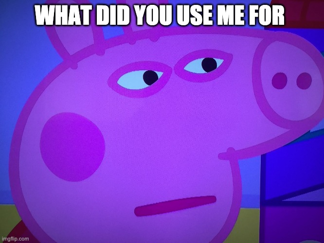 What did you say Peppa Pig | WHAT DID YOU USE ME FOR | image tagged in what did you say peppa pig | made w/ Imgflip meme maker