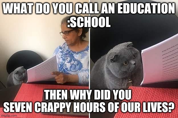 bruhhhhh | WHAT DO YOU CALL AN EDUCATION
:SCHOOL; THEN WHY DID YOU 
SEVEN CRAPPY HOURS OF OUR LIVES? | image tagged in woman showing paper to cat,im smrt | made w/ Imgflip meme maker