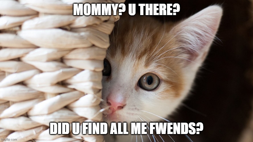 Cute Cat In Hiding | MOMMY? U THERE? DID U FIND ALL ME FWENDS? | image tagged in cute cat in hiding | made w/ Imgflip meme maker
