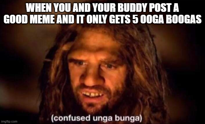 some more unga bunga | WHEN YOU AND YOUR BUDDY POST A GOOD MEME AND IT ONLY GETS 5 OOGA BOOGAS | image tagged in confused unga bunga | made w/ Imgflip meme maker