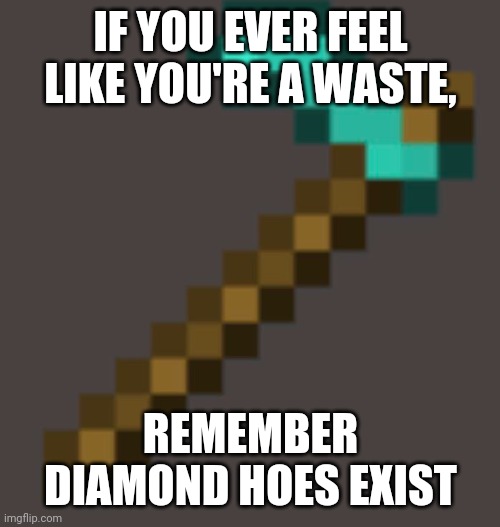 IF YOU EVER FEEL LIKE YOU'RE A WASTE, REMEMBER DIAMOND HOES EXIST | image tagged in memes | made w/ Imgflip meme maker